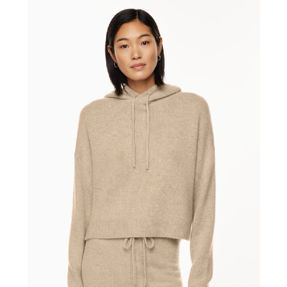 Aritzia The Group Luxe Cashmere Hoodie